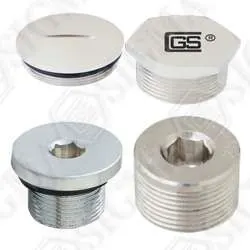 stainless steel plugs